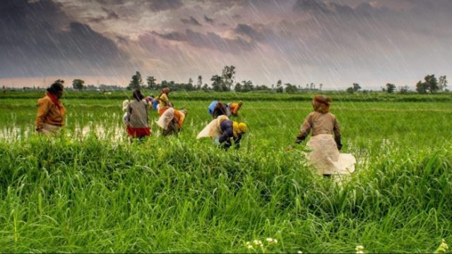 राष्ट्रीय किसान दिवस 2019: जानिए इसके बारे में सब कुछ