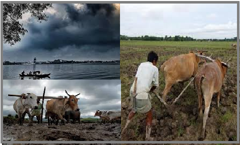 National Monsoon Mission