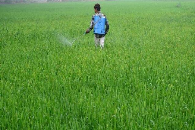 कैबिनेट ने कीटनाशक प्रबंधन विधेयक 2020 के मसौदे को मंजूरी दी