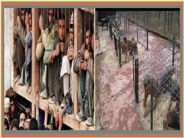 10 dangerous Prisons in the World