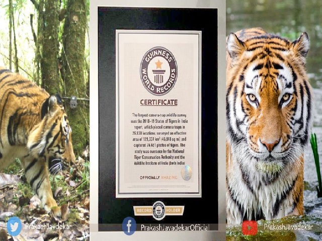 India's 2018 Tiger Census sets Guinness World Record for being world's  largest camera trap wildlife survey