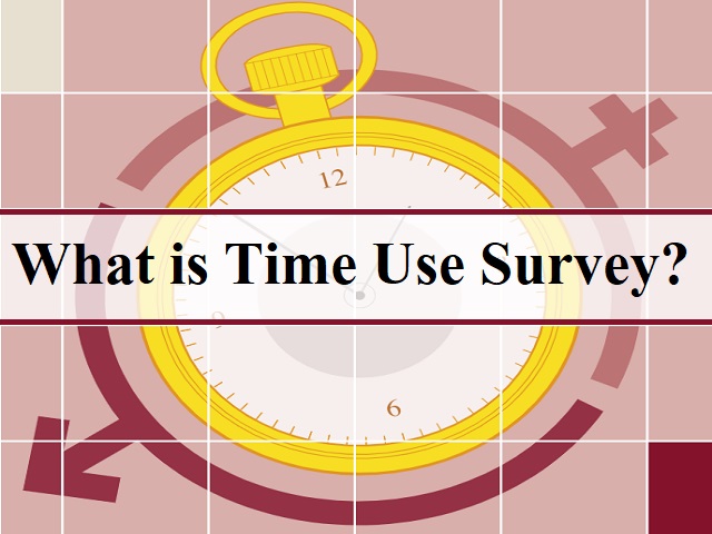 Time Use Survey