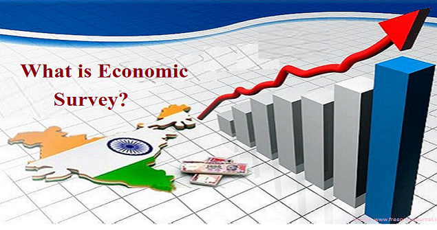 What is Economic Survey?
