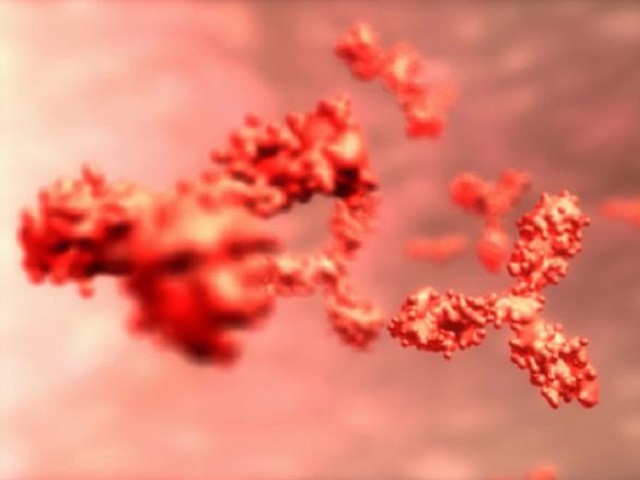 Coronavirus antibody