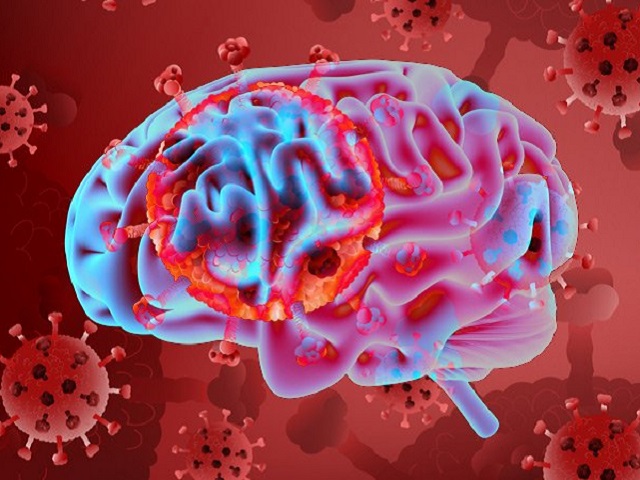 Coronavirus capable of directly invading brain: New Study 