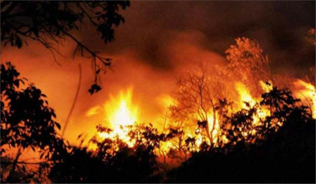 यूक्रेन के चेर्नोबिल के जंगलों में लगी आग, कई गुना बढ़ा विकिरण 