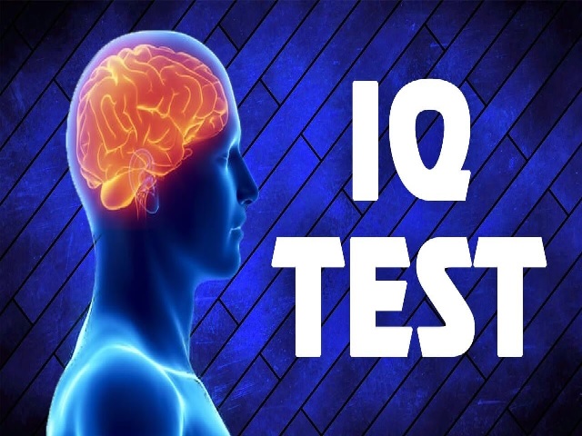 essay iq test