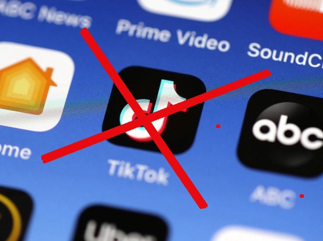 India bans chinese apps