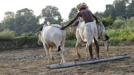 झारखंड के लिए मुख्यमंत्री कृषि आशीर्वाद योजना की घोषणा