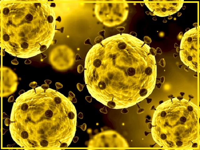 What is inflammageing and what impact does it have on older patients of COVID-19? 