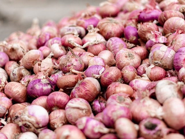 India bans export of onion seeds