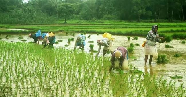 Water conservation in India: How to manage water and what to learn from Israel?