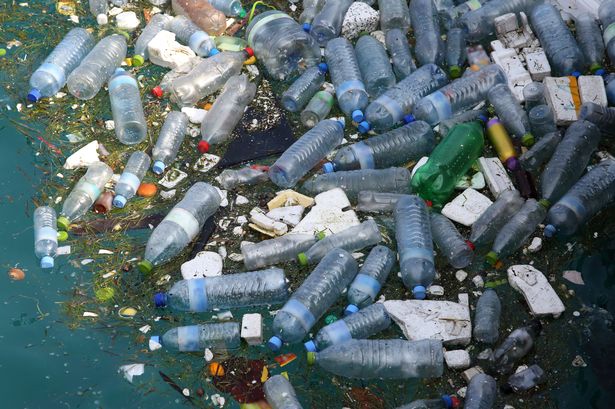 Single-use plastic ban: सिंगल यूज प्लास्टिक क्या है और इसे बैन क्यों किया जा रहा है?
