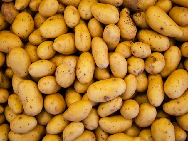 India to import potatoes to check rising prices