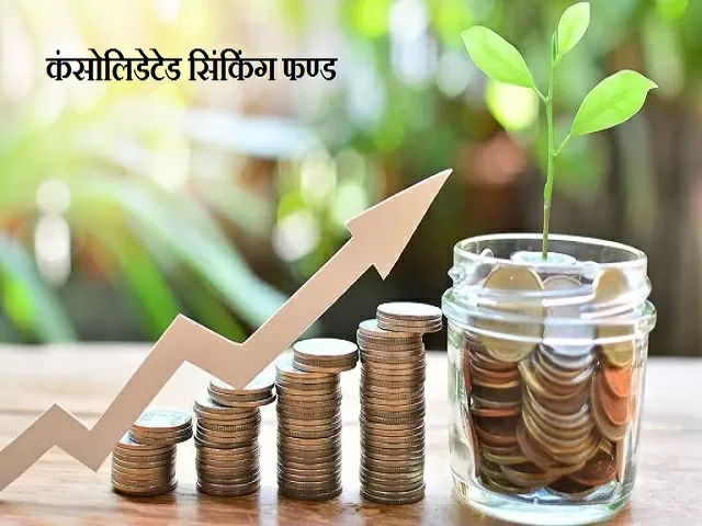 hindi-meaning-and-objectives-of-sinking-fund