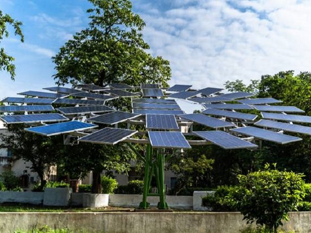 World's largest solar tree set up at Durgapur