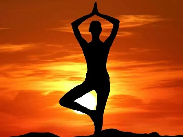 International Yoga Day 2020: Video Contest, Yoga at Home, Yoga with ...