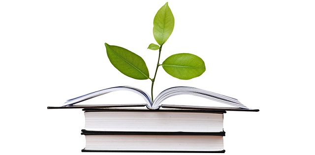 Cabinet approves 'Three Year Action Plan’ of Agricultural Education Division & ICAR Institutes