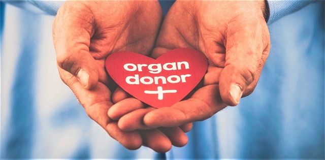 Haryana to set up organ, tissue transplant organisation