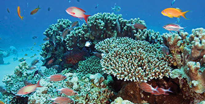 World Oceans Day 2018 observed across the world