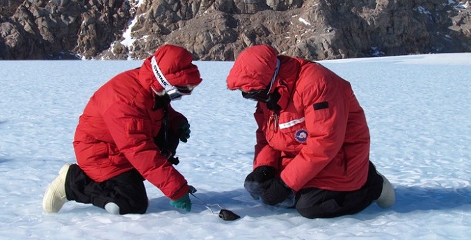 IIT Hyderabad researchers find Antarctic fungi 
