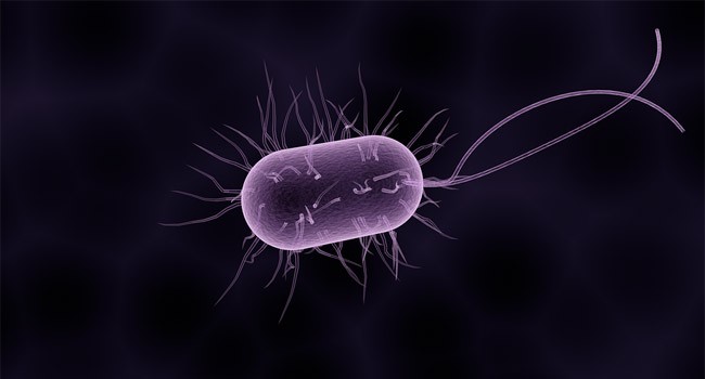 NASA finds ‘Shape-shifting’ bacteria