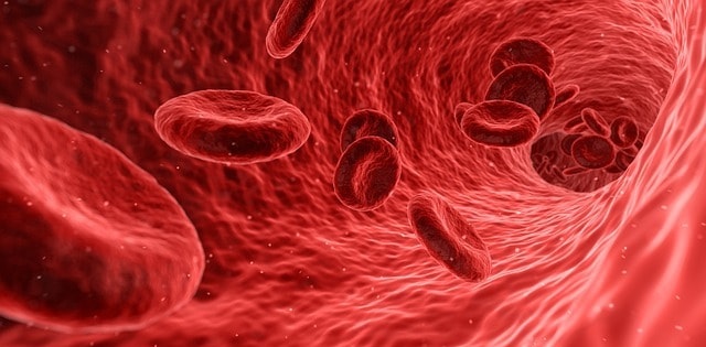 Blood platelets can kill 60 per cent of Malaria parasites: Study