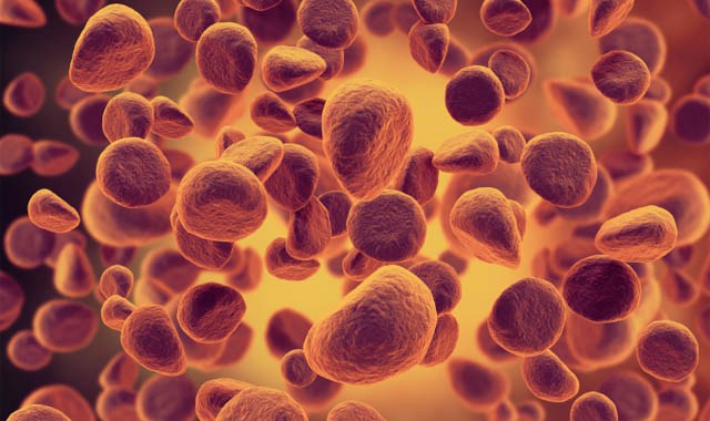 MIT scientists develop cell-sized robots