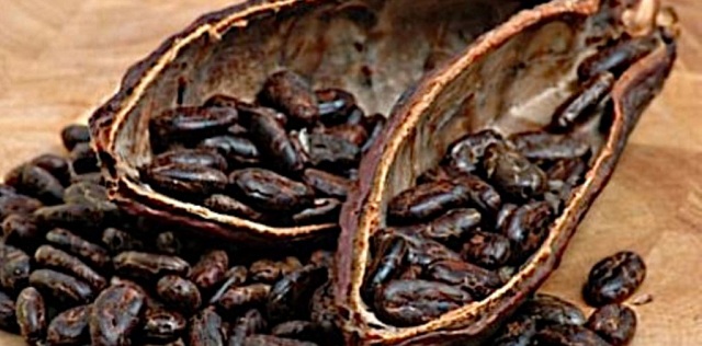 Chocolate likely to get extinct by 2050