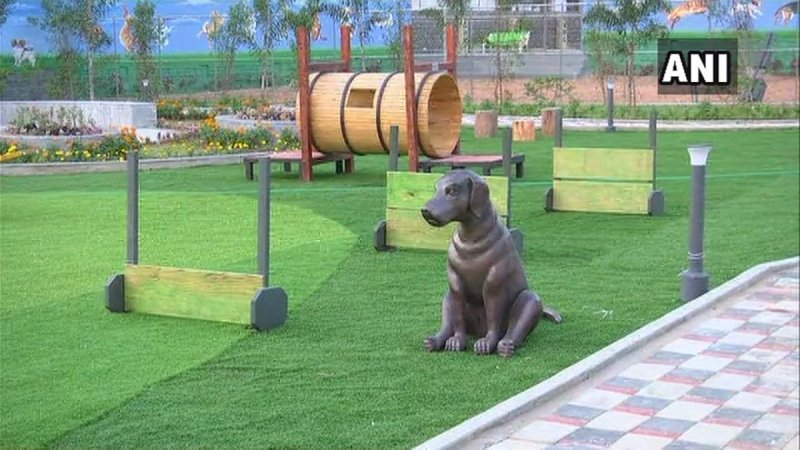 भारत का पहला डॉग पार्क हैदराबाद में आरम्भ हुआ