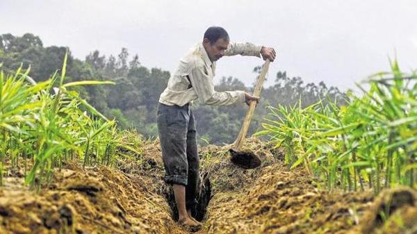 छोटी अवधि के फसल ऋण पर ब्याज में दो फीसदी की छूट