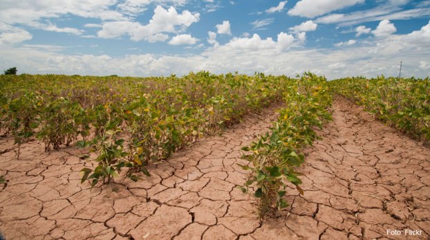 India at risk of food shortage due to climate change: Study