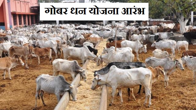 राष्ट्रीय गोबर-धन योजना आरंभ, पढ़ें विस्तृत जानकारी