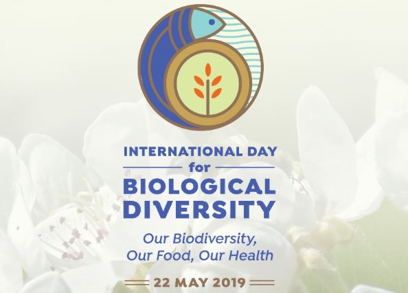 International Day for Biological Diversity observed