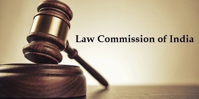 law commission report 181