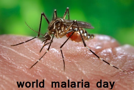 World Malaria Day observed on April 25