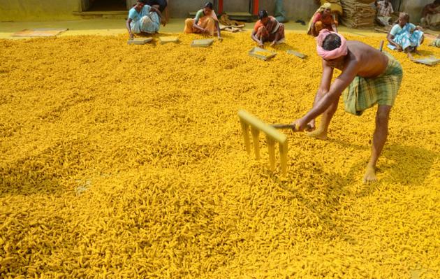 सांगली की हल्दी को जीआई टैग हासिल हुआ