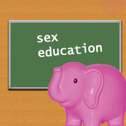 The Pink Elephant 