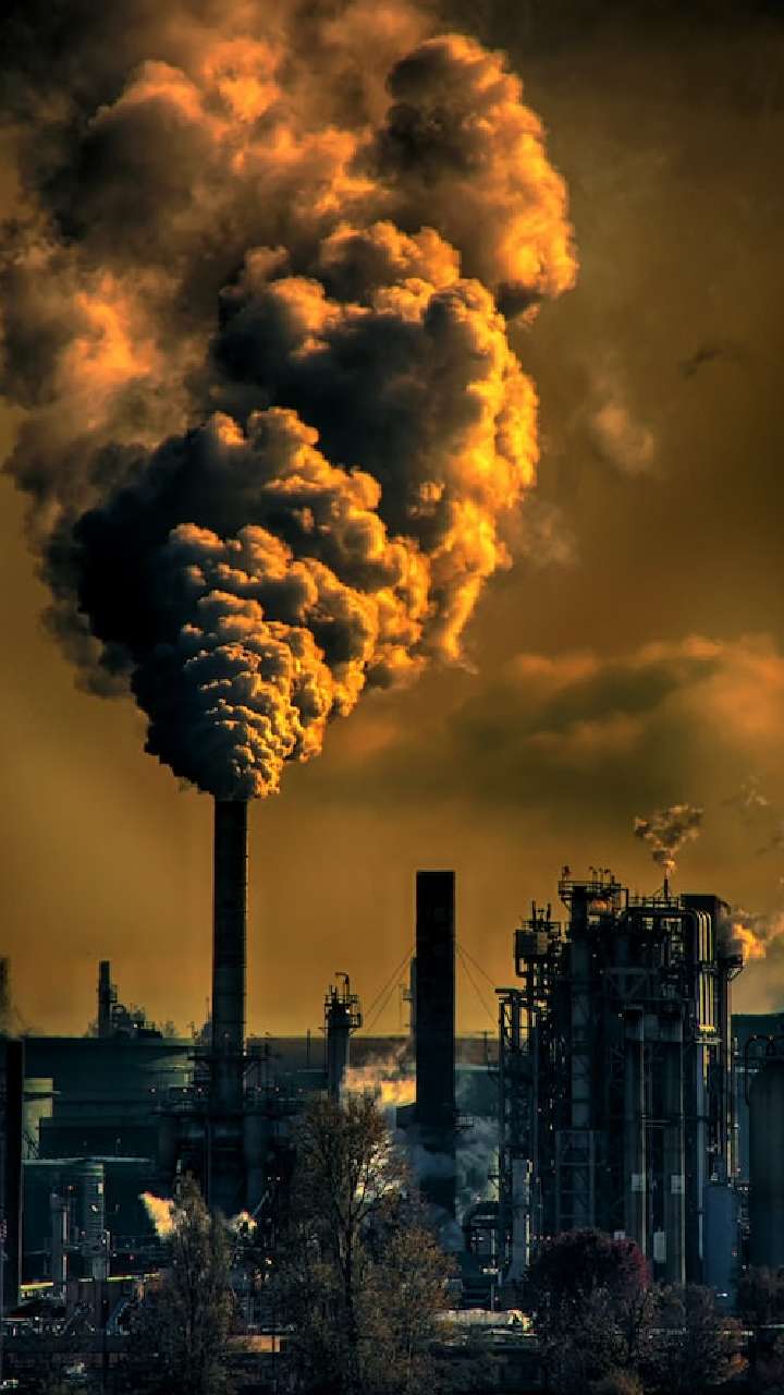 पर्यावरण प्रदूषण कैसे होता हैं हानिकारक? जानिए