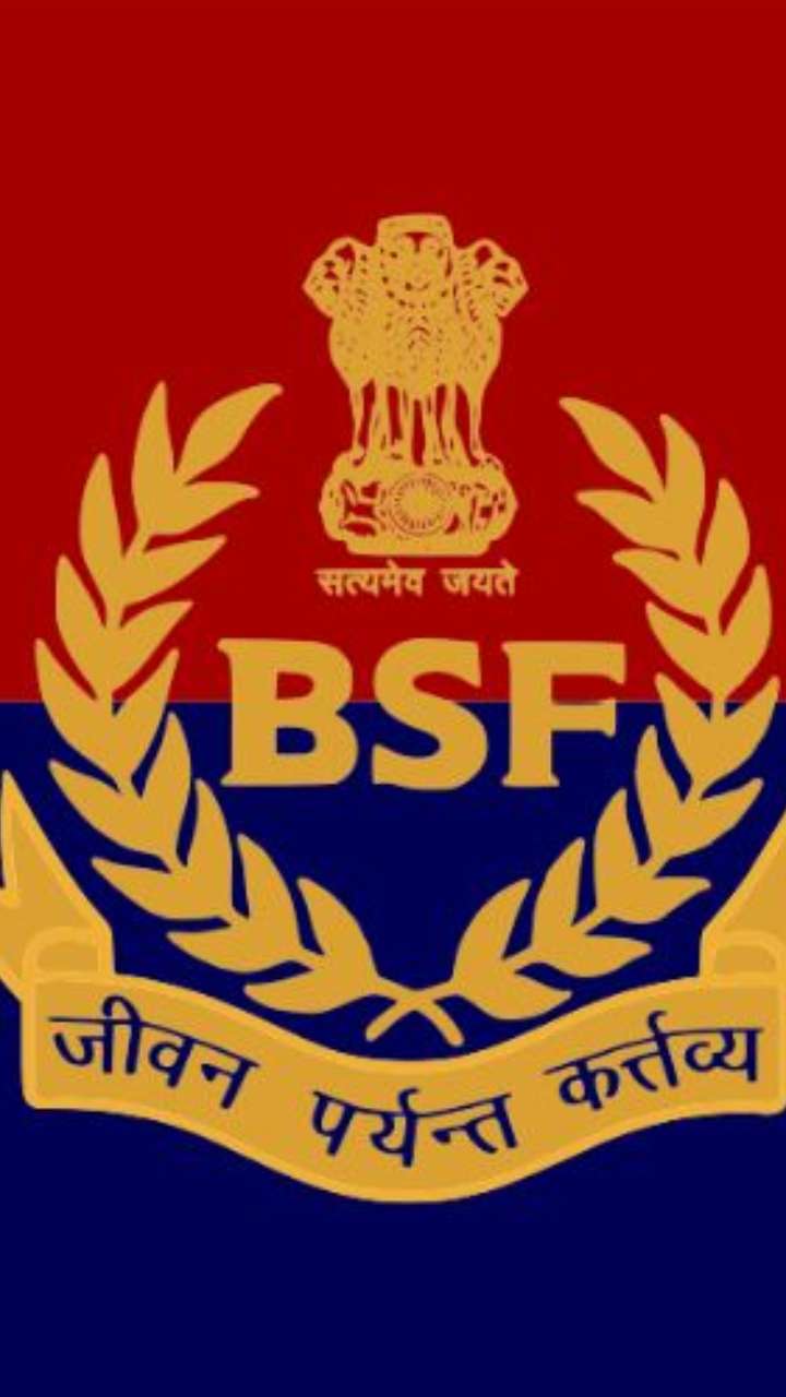 bsf-1