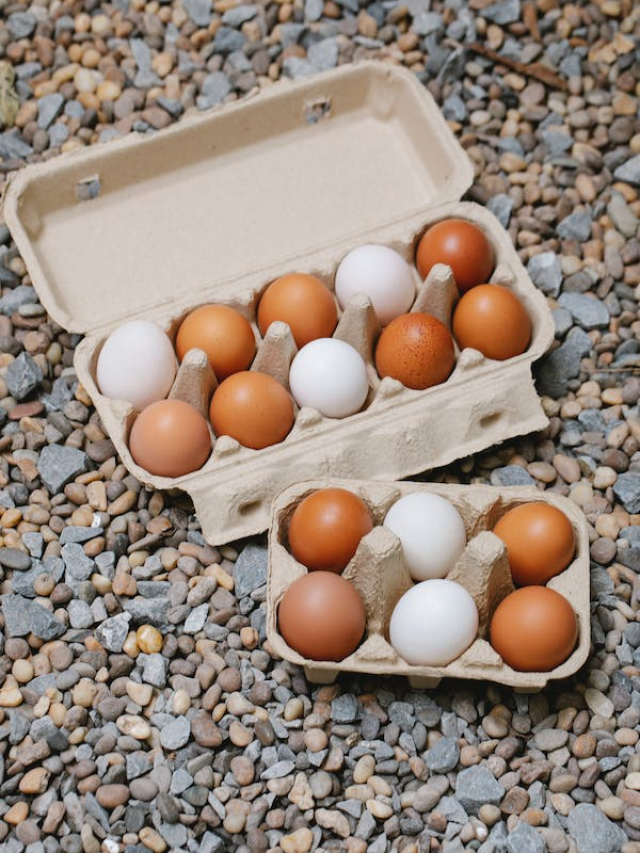 White Egg Vs Brown Egg Five Significant Differences